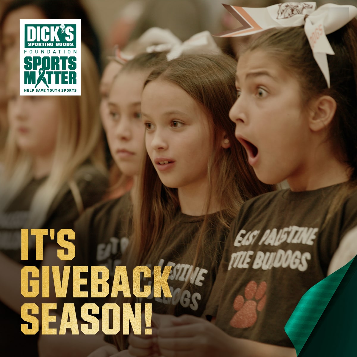 Dick's Sporting Goods Foundation Sports Matter. Help save youth sports. It's giveback season.