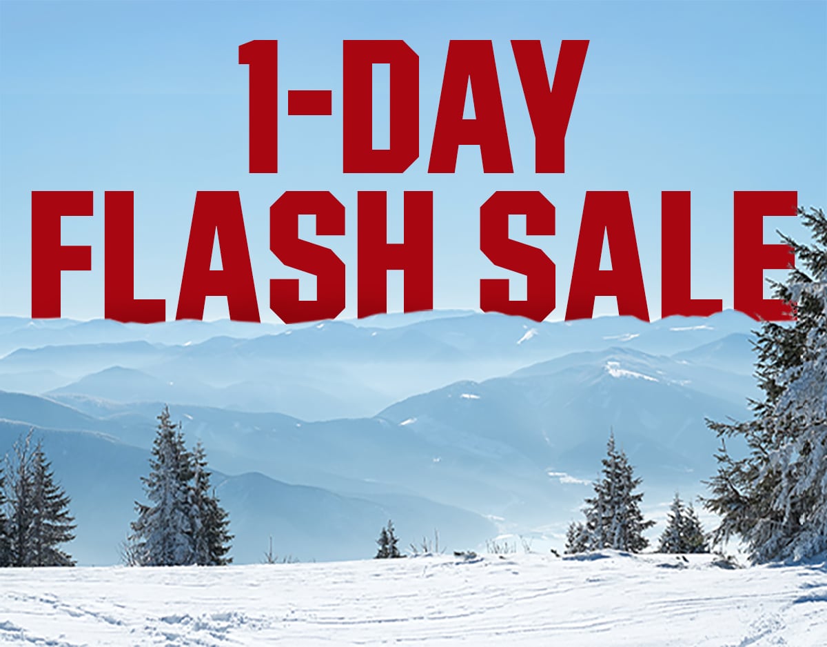 One-day flash sale.