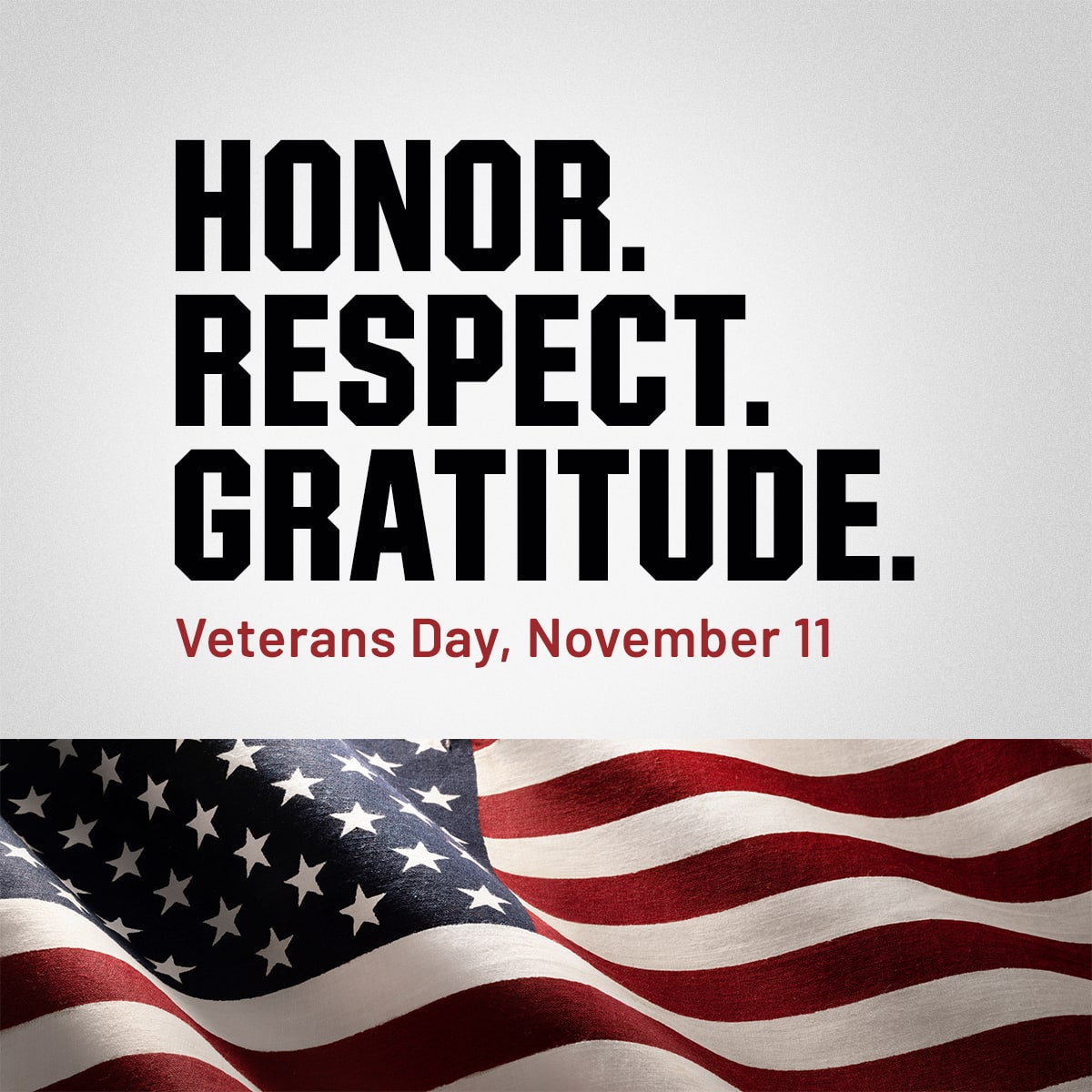 Honor. Respect. Gratitude. Veterans day, november 11.