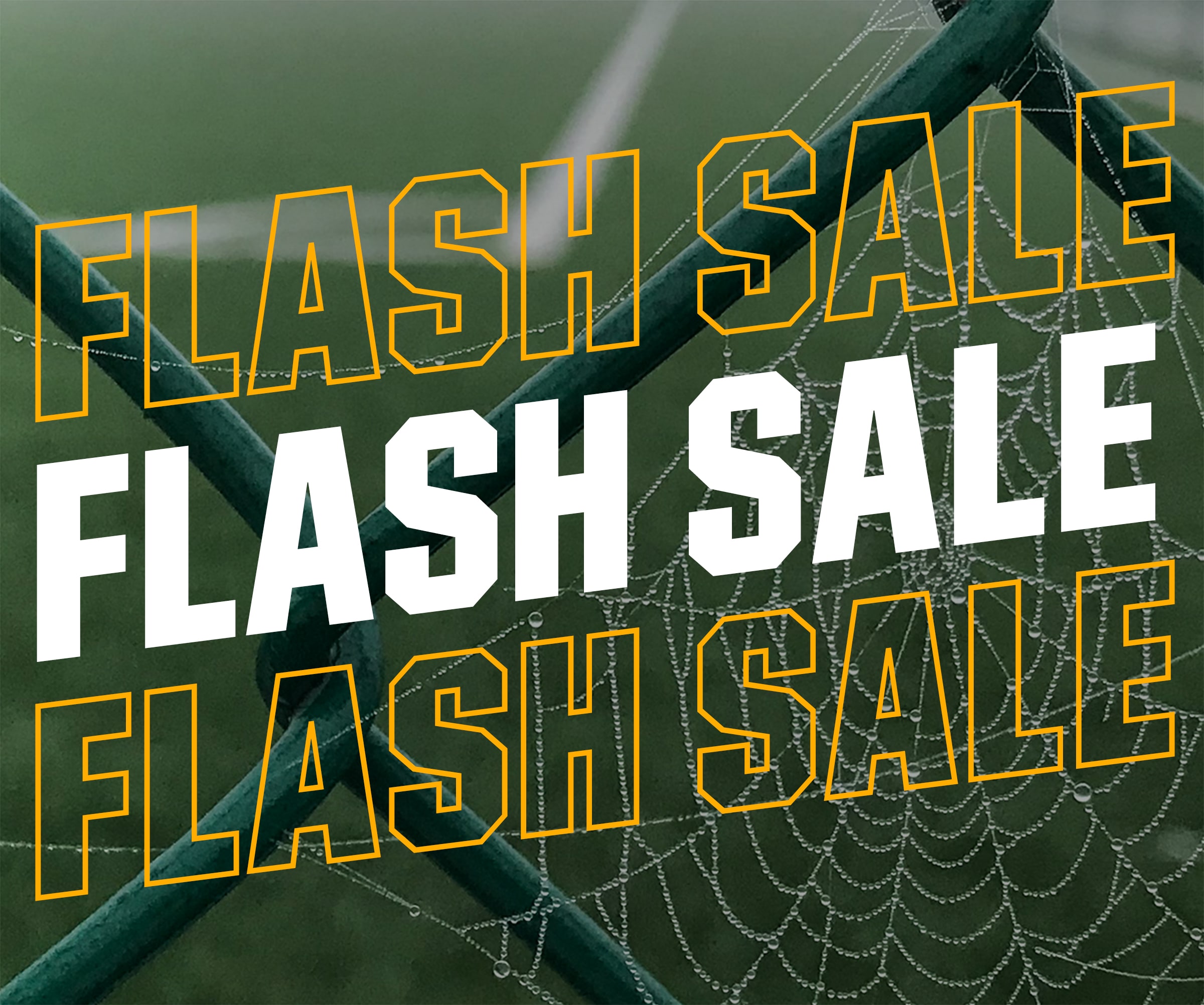  Flash sale