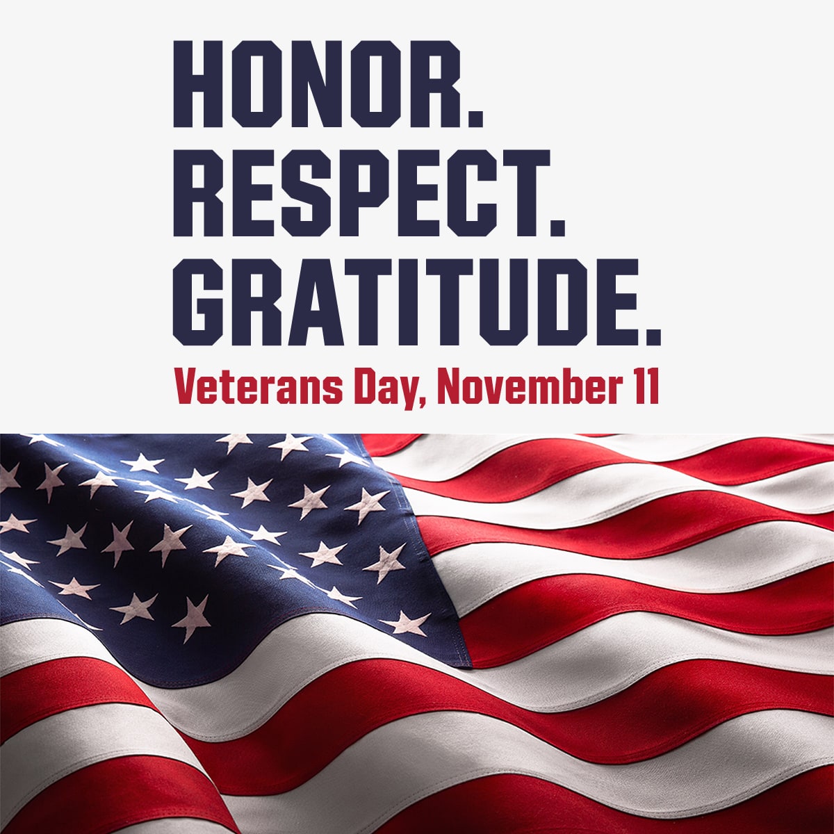  HONOR. RESPECT. GRATITUDE. Veterans Day, November 11.