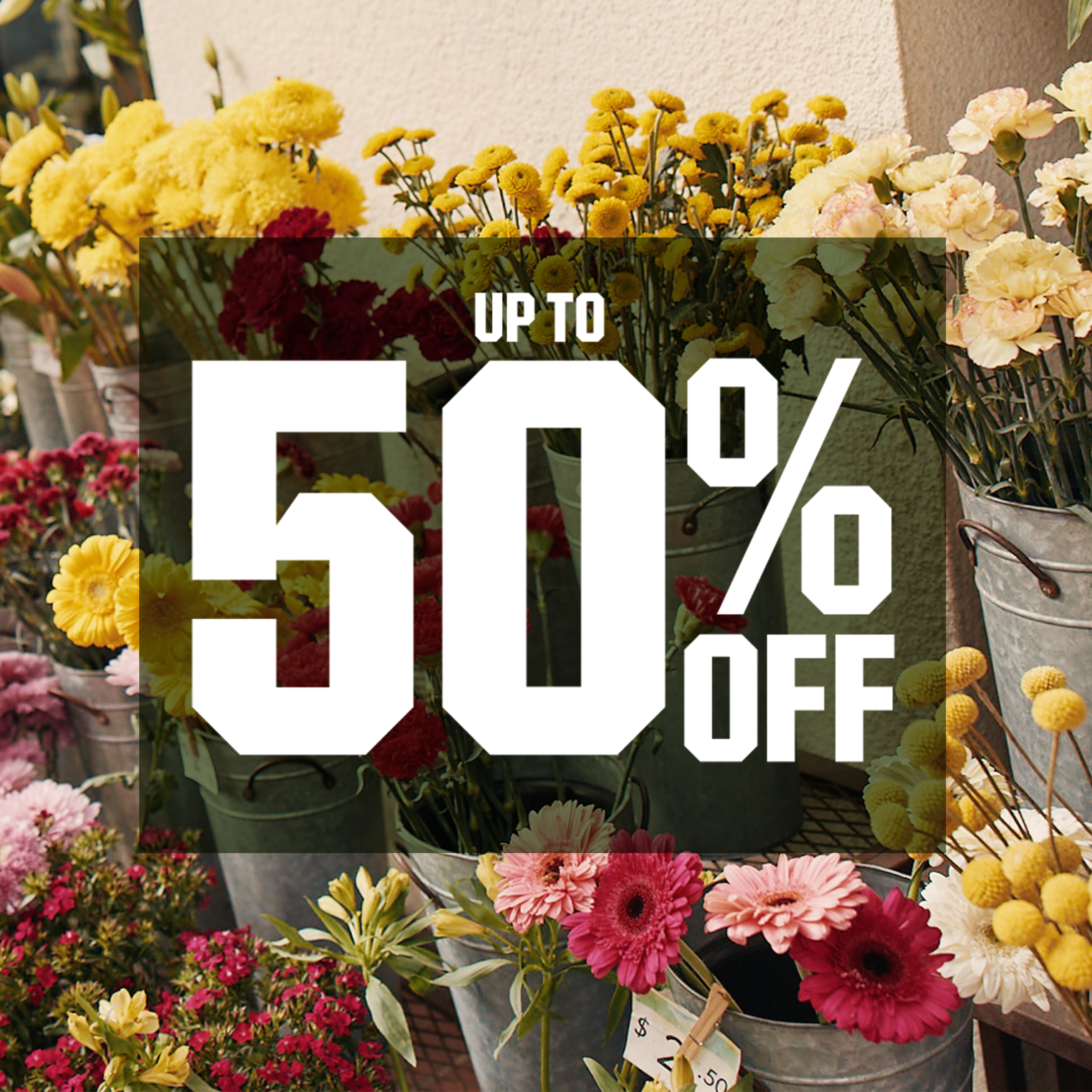 Up to 50% off.
