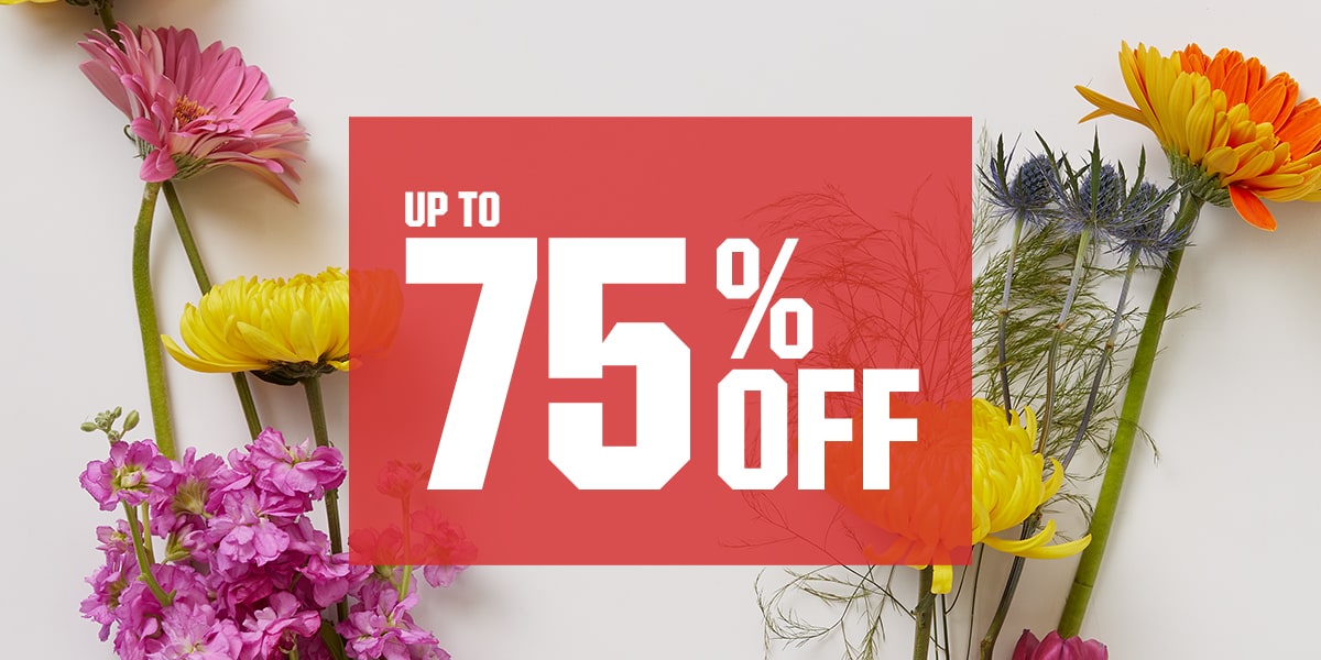  Up to 75% Off.