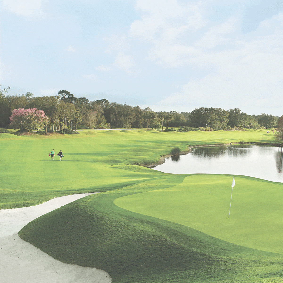  Golf flash sale.
