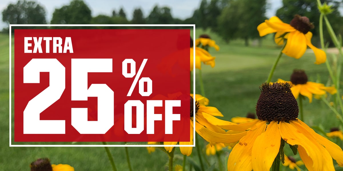  Extra 25% Off 