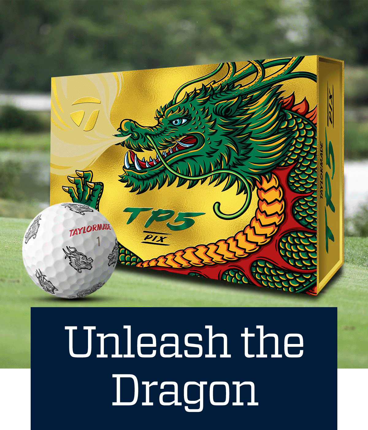  Unleash the dragon.