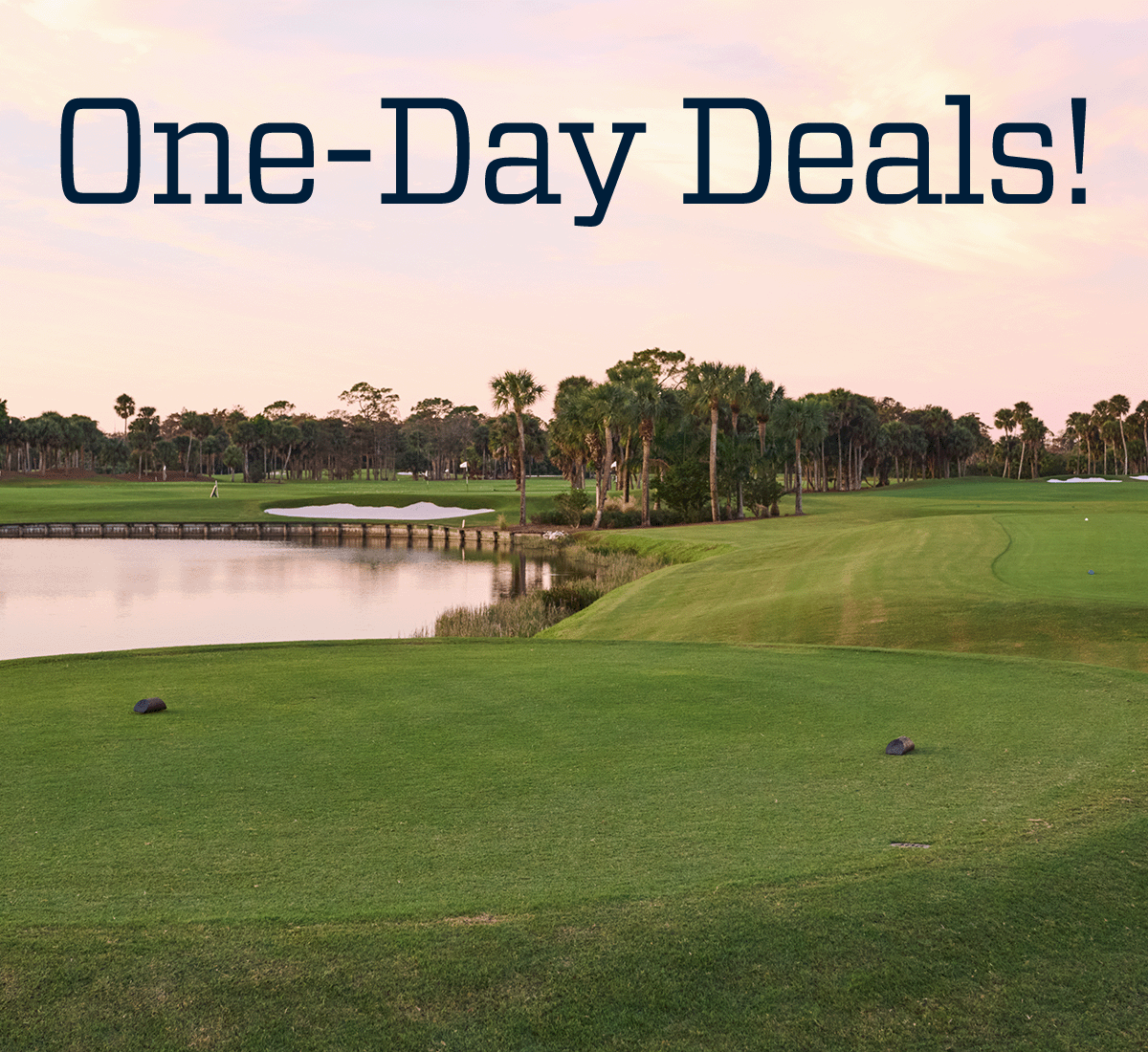  One-day deals!