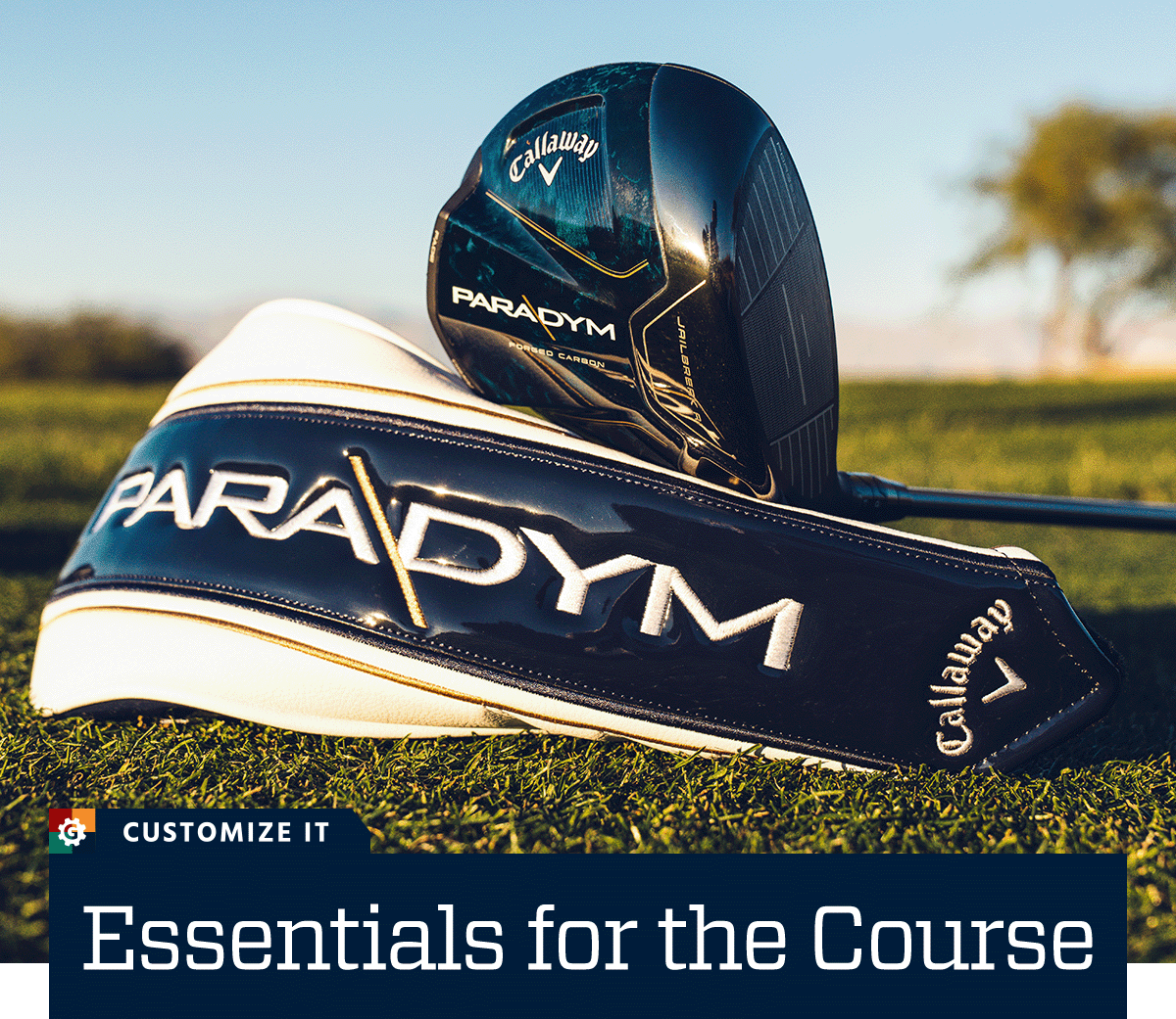  Essentials for the course. Customize it.