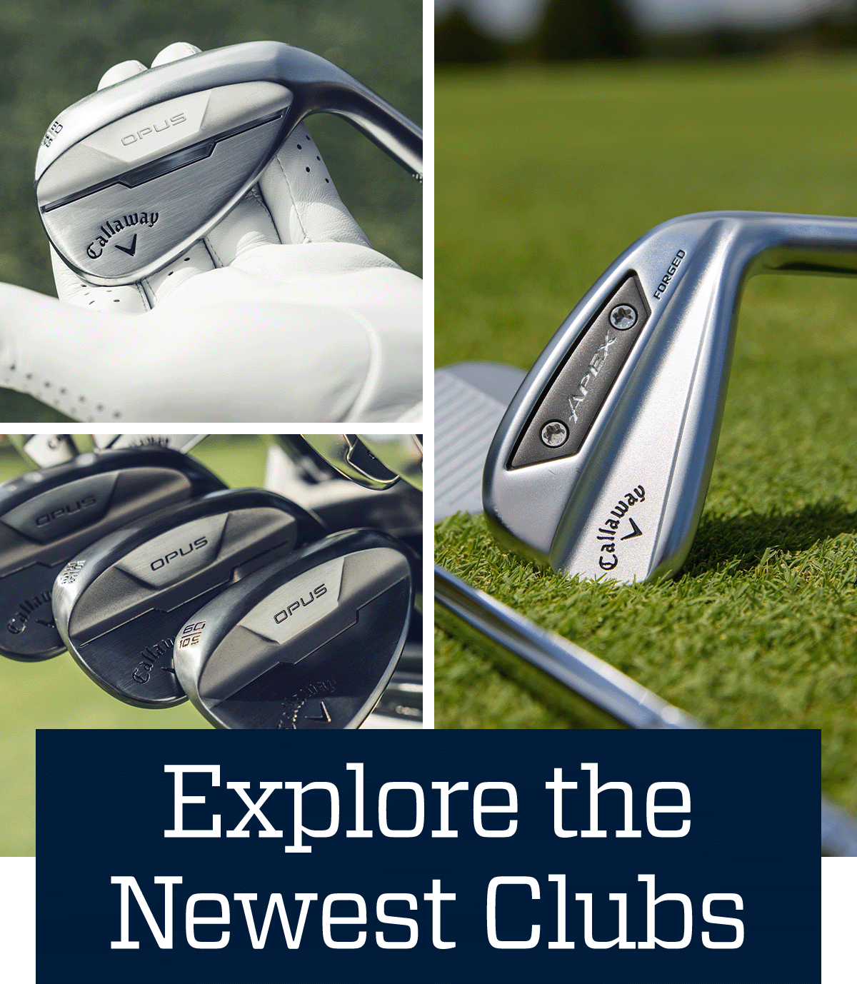  Explore the newest clubs