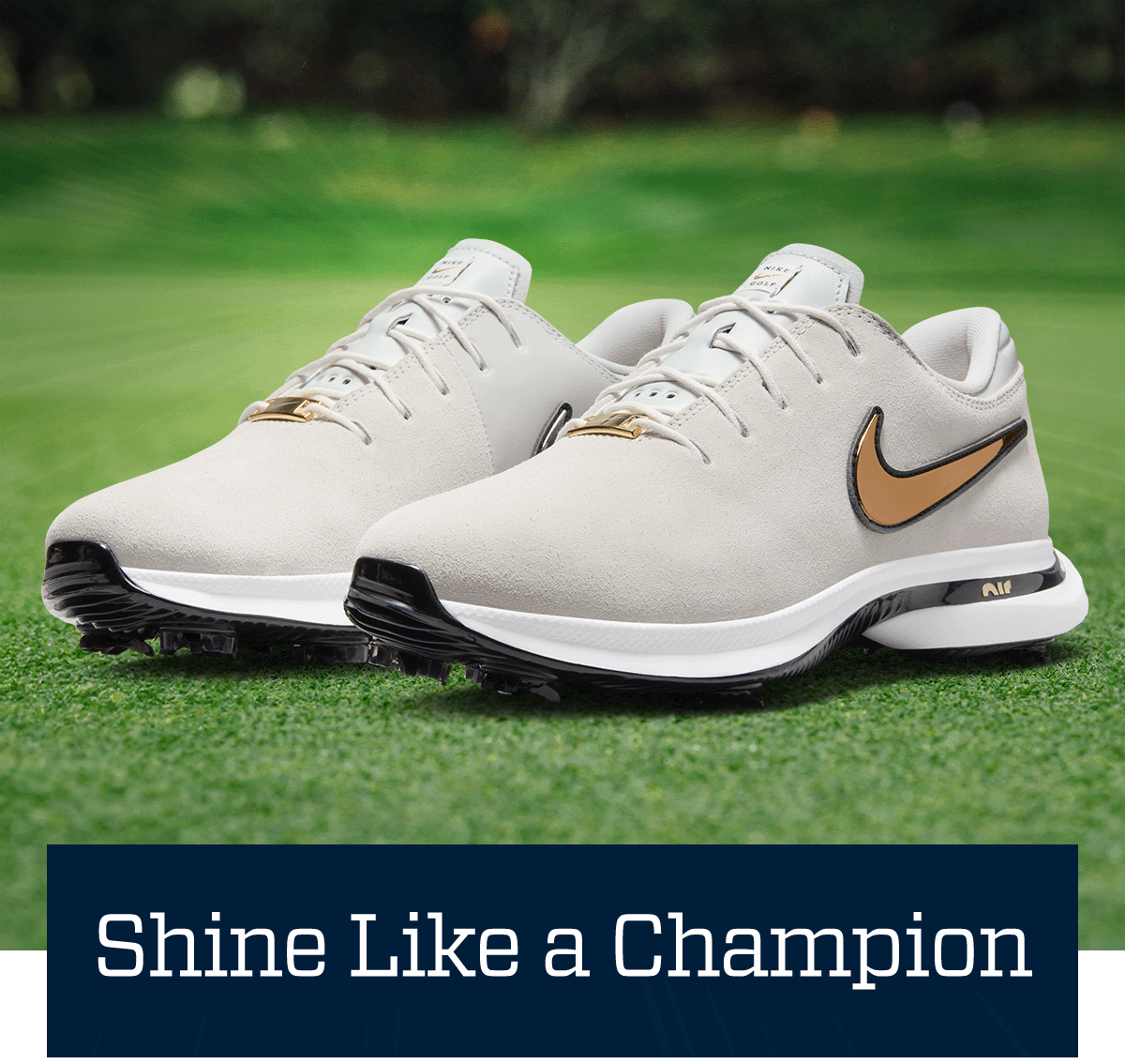  Shine like a champion.