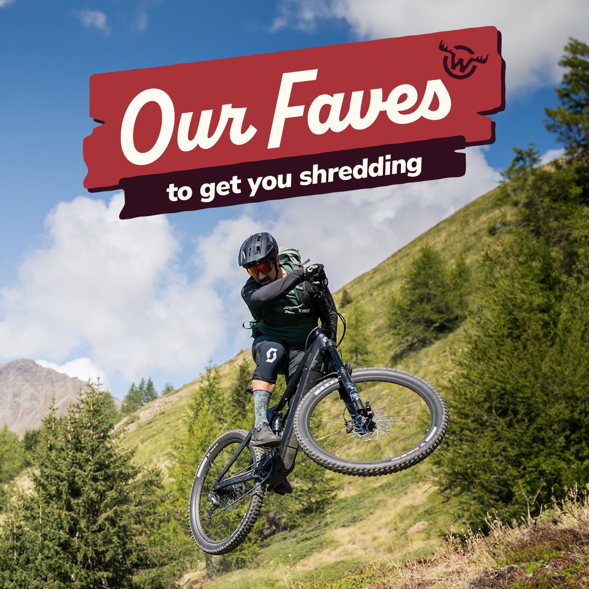  Our faves to get you shredding.