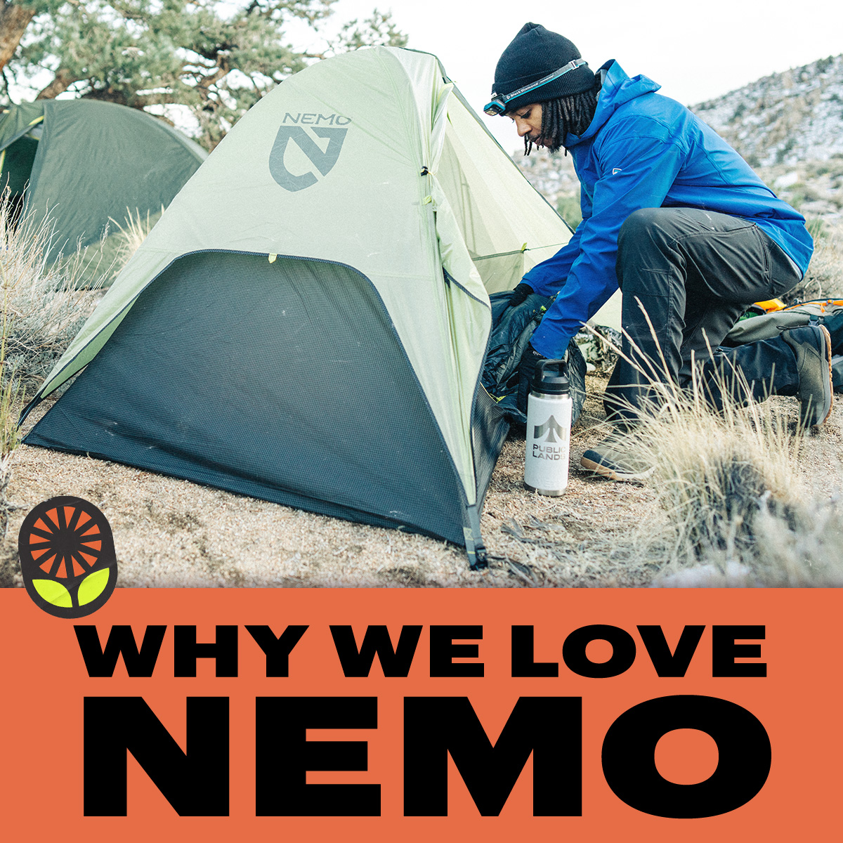  Why we love NEMO.