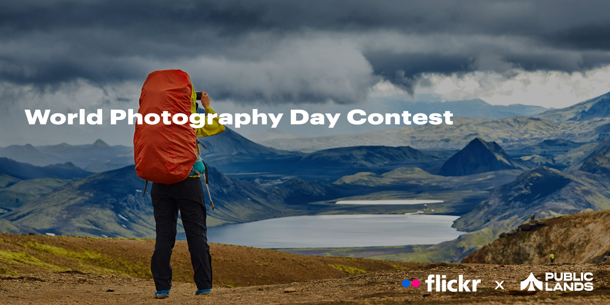  World Photography Day Contest