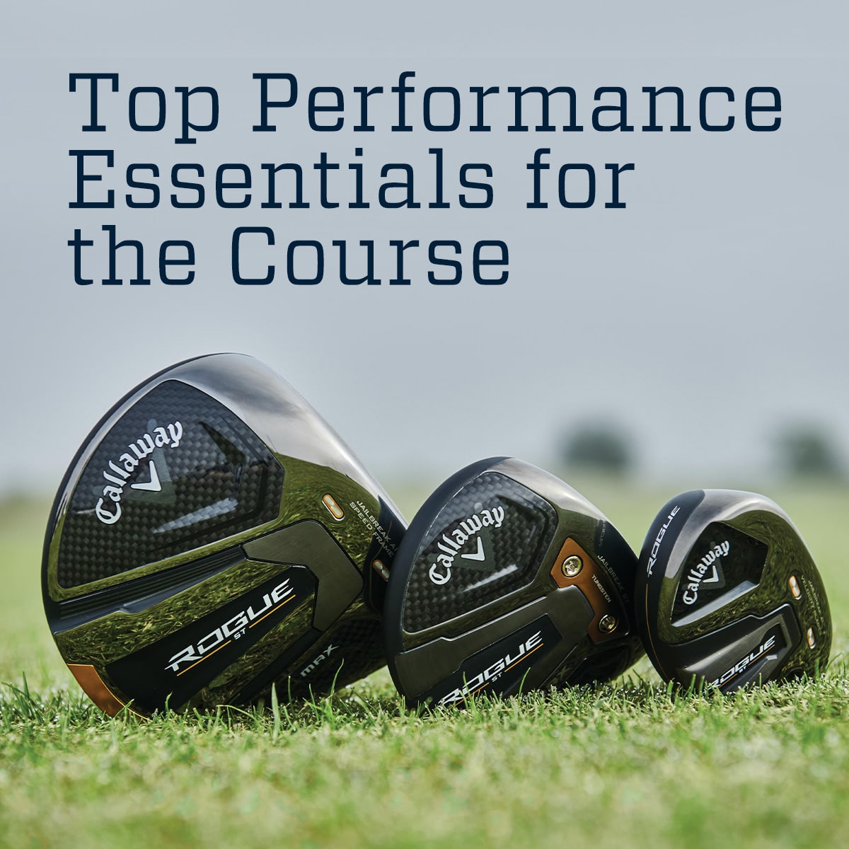 Top performance essentials for the course.